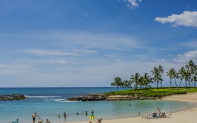 Reasons Why You Should Visit Hawaii